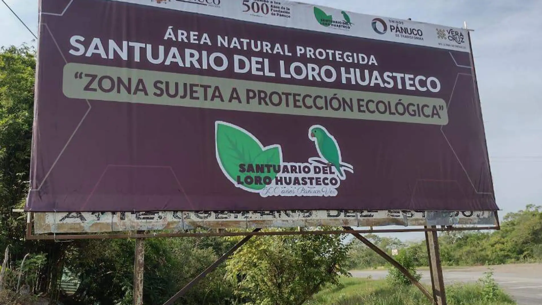 En el Santuario del Loro Huasteco procuran el bienestar ambiental y fomentar la biodiversidad